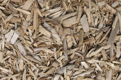 biomass boilers Windy Arbour